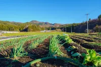 Pukōji Temple Hotels in Numata