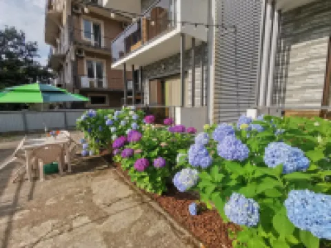 SOLO APARTMENTS Hotels in Ureki