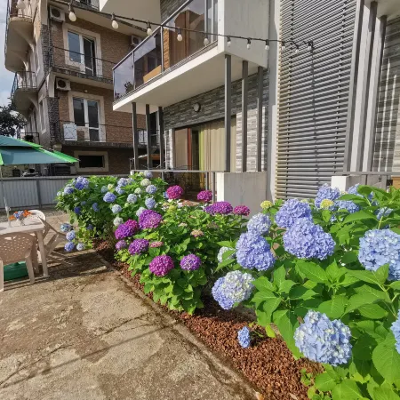 SOLO APARTMENTS