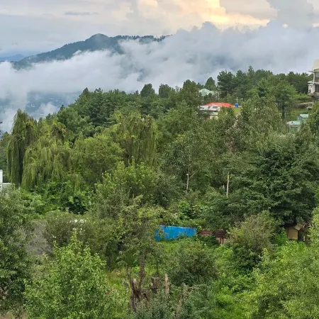 Bhurban Nights