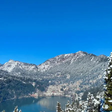 Prashant Homestay Nainital: Orchard