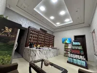 Aslan Hostel
