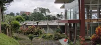 Townhouse Oak Hotel Pondokan Tjiburial - piscina