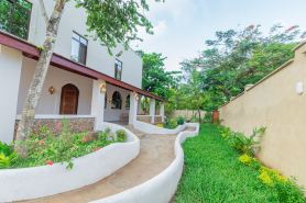 Jandi Diani