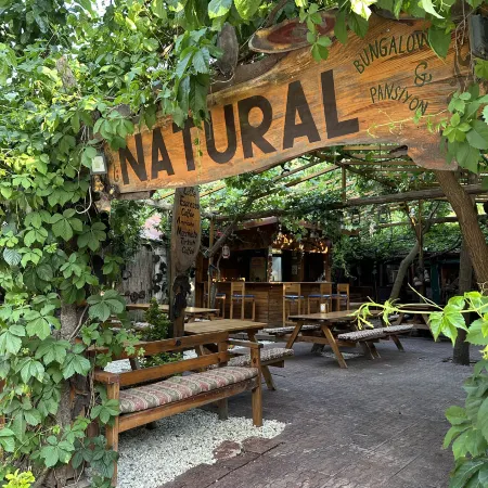 NATURAL PENSIYON