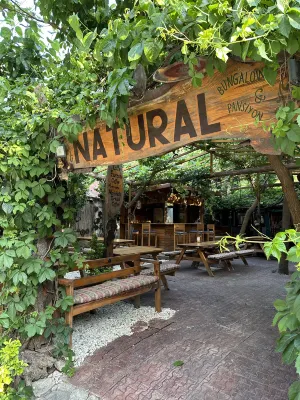 NATURAL PENSIYON