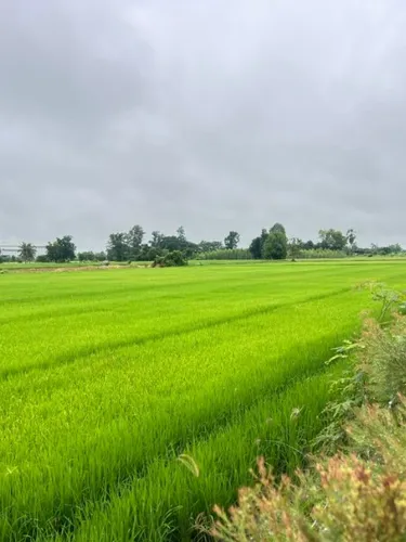 รูปภาพของรีสอร์ทบ้านอุ้ม