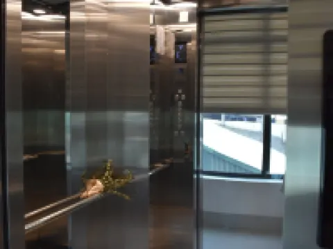 Vuon Cam Hotel Cao Bang Hotels in Cao Bang