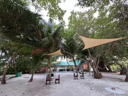 Scenic Grand Maldives Отели в г. Фехенду