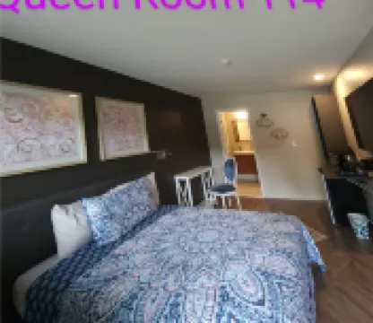 Hotel Lake Anna - Homestays
