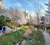 SWA Tailored Service Apartment near Gwanggyo Station