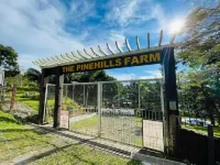 The Pinehill Farm