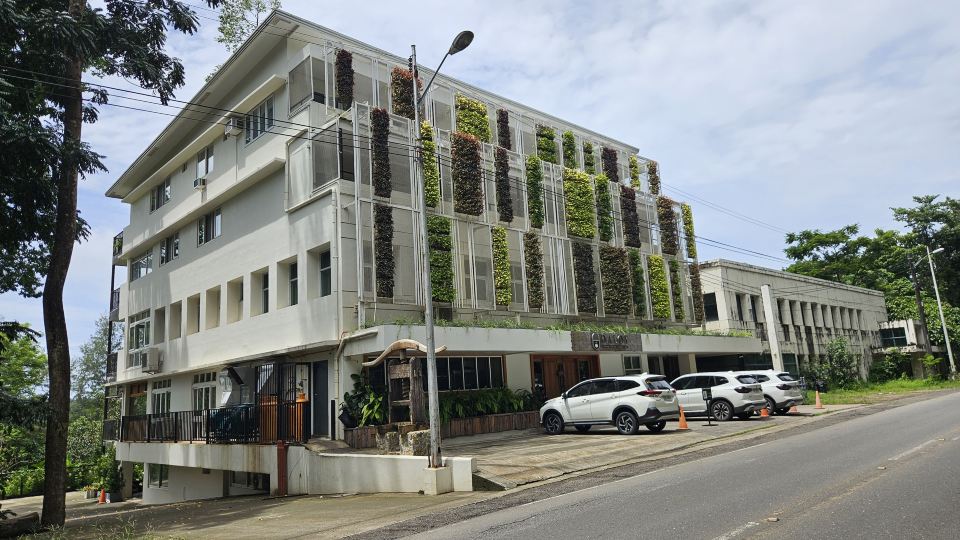 Vine and Canopy