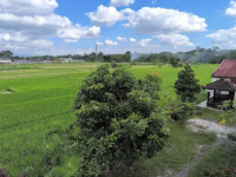 Benada Piyungan Yogyakarta by ABM