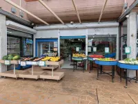 Convenient Room – Walk to Train & Shops Hotels in Lidcombe