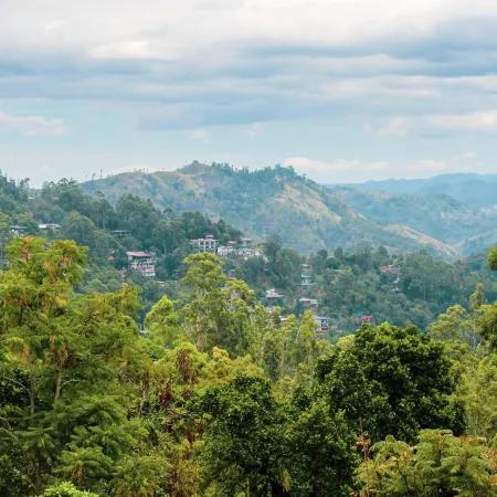 Velora Hill Ella | Panoramic Hilltop Stay #102