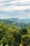 Velora Hill Ella | Panoramic Hilltop Stay #102 - Balkon