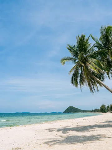 รูปภาพของทาเบบูย่าเฮ้าส์