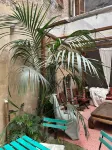 Loft 55 -Secret garden- - Wifi