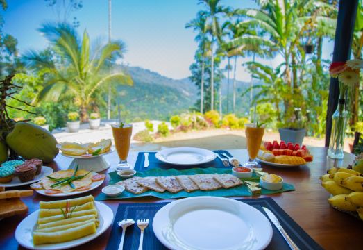 터널 톱 인, 엘라의 현대적이고 고급스러운 객실 내부