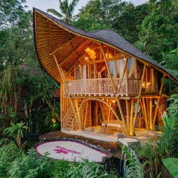 Jiva Bali - Green Dream