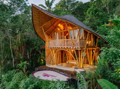 Jiva Bali - Green Dream