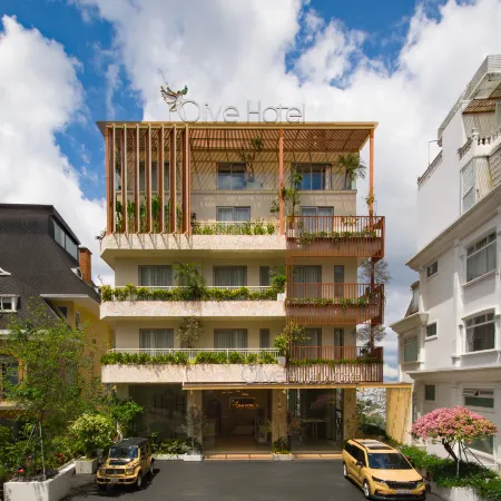 Olive Hotel Dalat Отели в г. Далат