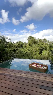 The Clifton Villas Ubud - Infinity Pools