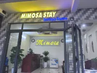 Mimosa Boutique Stay Phu Quoc Hotels near Cau Temple
