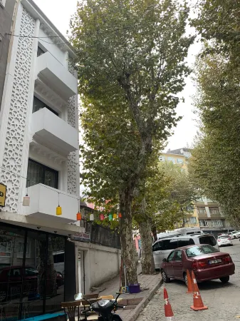Valeria House
