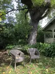 Lorelei Bed and Breakfast
