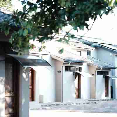 Jacaranda Homestay Hotel Exterior
