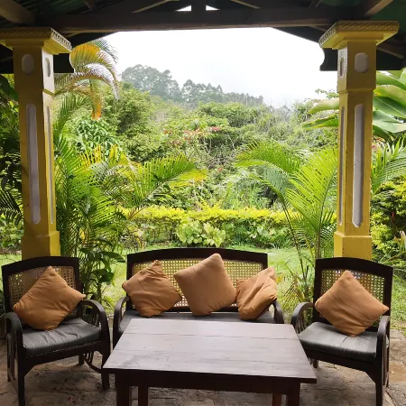 AMBA Estate