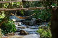 Baan Kiang Hin Thawin Homestay