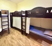 Homeland Female Hostel - 3-نجوم