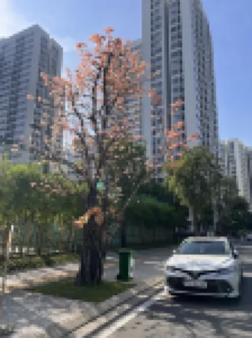 Vinhone Grand Park Homestay - ZEN Garden Residence Các khách sạn ở TP. Hồ Chí Minh