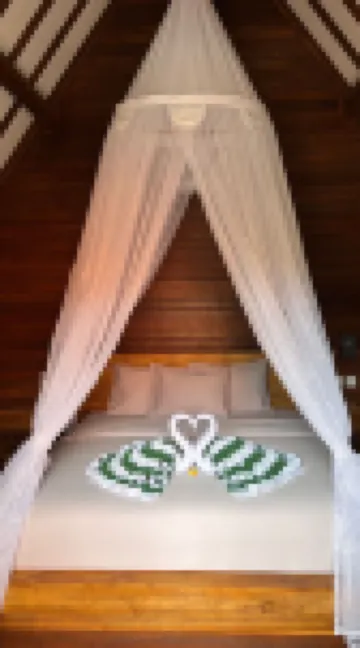 캐스트어웨이 아일랜드 호스텔 타마린드 비치 주변 호텔