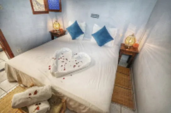 Riad Amirkesh and Pool