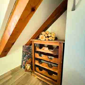 Step to Kotor Bay Old Town Others