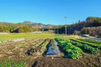Pukōji Temple Hotels in Numata