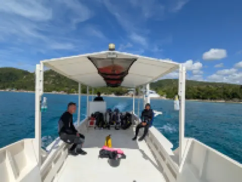 Dive Spot Asia & Brumini Beach Resort Hotels in Boljoon
