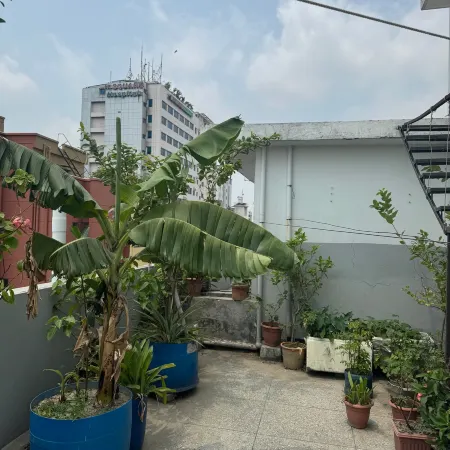 One Bedroom Chilekotha Apartment- Panthapath