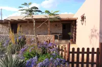 Canary House with Heated Pool,  26 Degrees - Huvilat