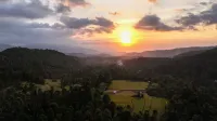 Livin didesa - 산장