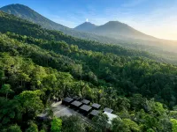 Capsul Jatiluwih - Forest View Capsules near Jatiluwih Rice Terraces - 신규