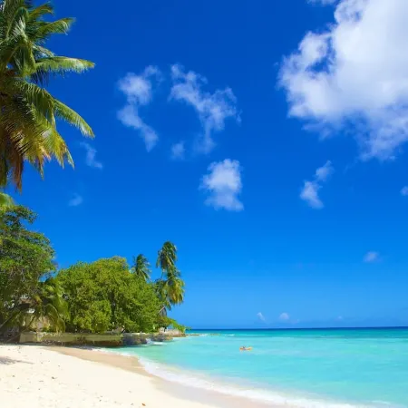 The Island Nook Barbados | Poolside Retreat by the Gap