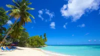 The Island Nook Barbados | Poolside Retreat by the Gap - 2-Star