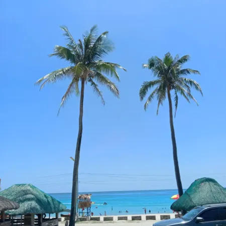 Buena Vistas Travellers Inn