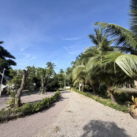 Paradise Palm PoolVilla