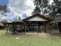Jungle Zen Janda Baik Campsite Hotels in Bentong